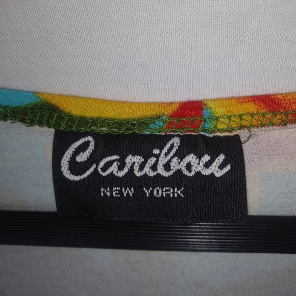 Caribou NY L Aloha Blue Green Stretch Crop Top - Picture 4 of 7